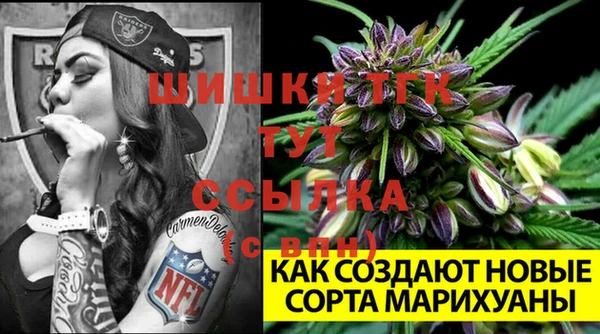 первитин Киреевск