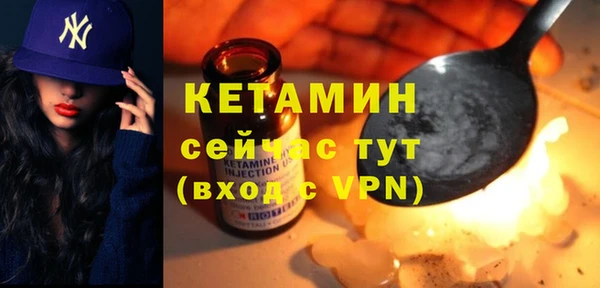 сатива Карпинск