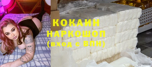 сатива Карпинск